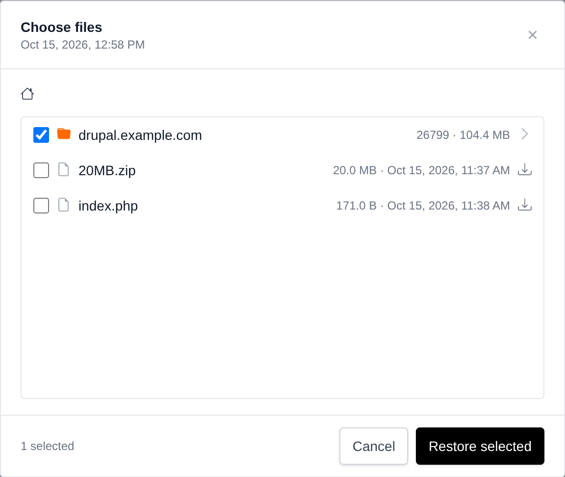 Choose files dialog browsing a website files backup with a folder ticked for restore