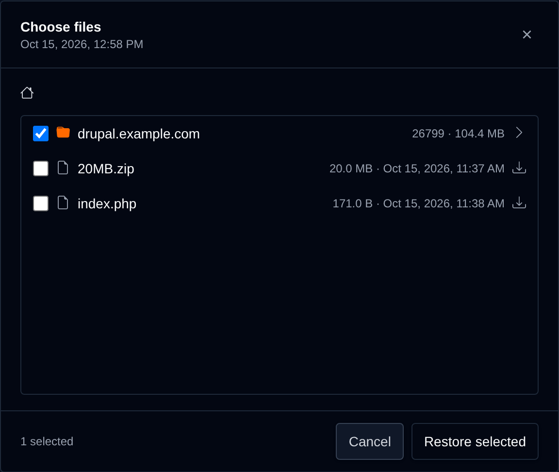 Choose files dialog browsing a website files backup with a folder ticked for restore