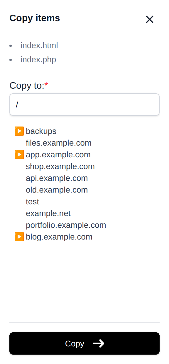 Copy drawer listing the selected files with the destination folder picker and the Copy button