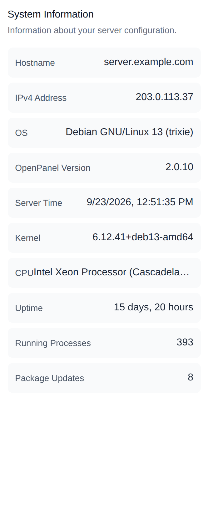 System Information widget with hostname, IPv4 address, OS, OpenPanel version, server time, kernel, CPU, uptime, processes and package updates