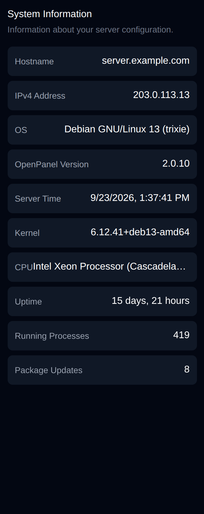 System Information widget with hostname, IPv4 address, OS, OpenPanel version, server time, kernel, CPU, uptime, processes and package updates