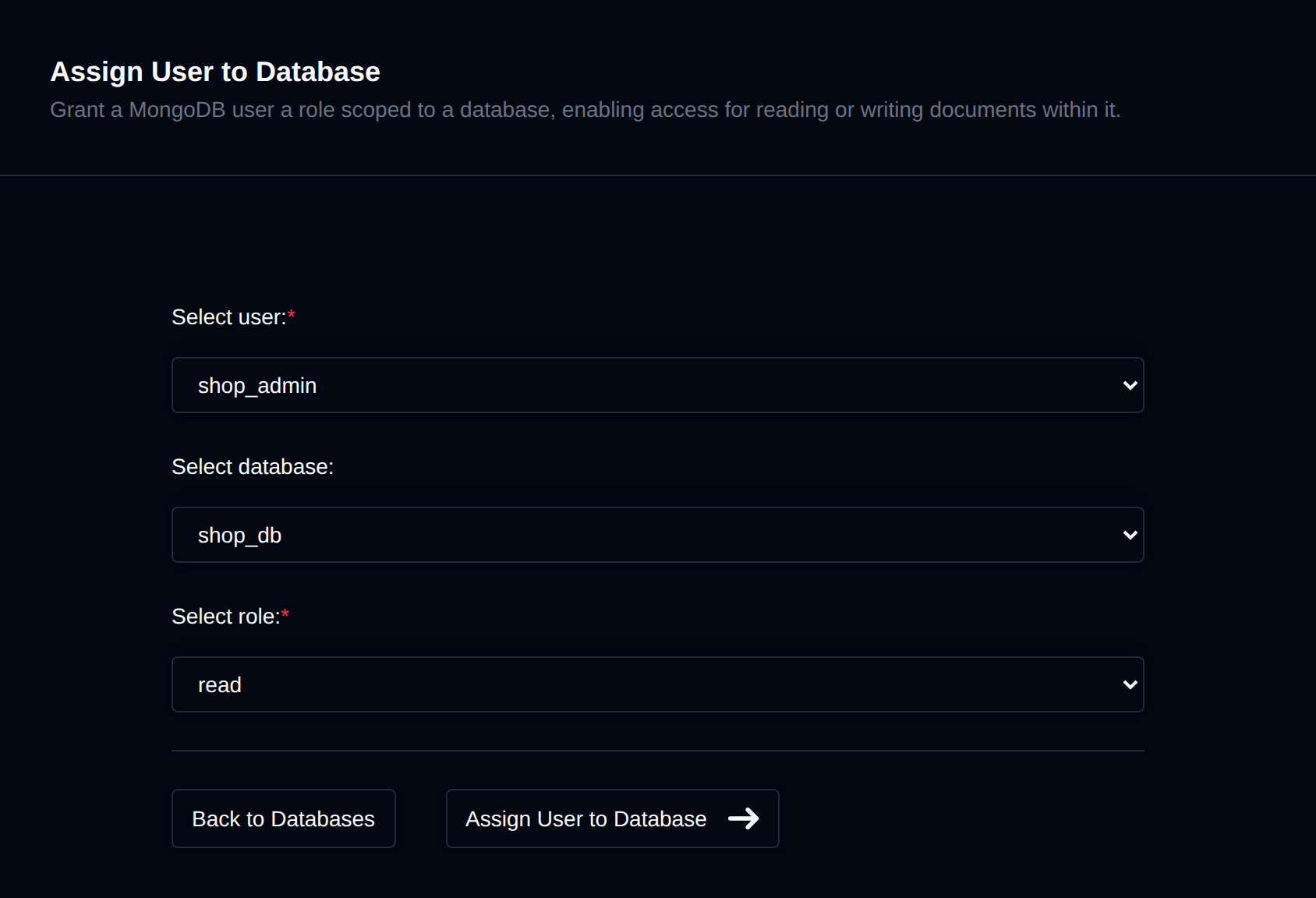Assign User to Database form with the user, database and role dropdowns