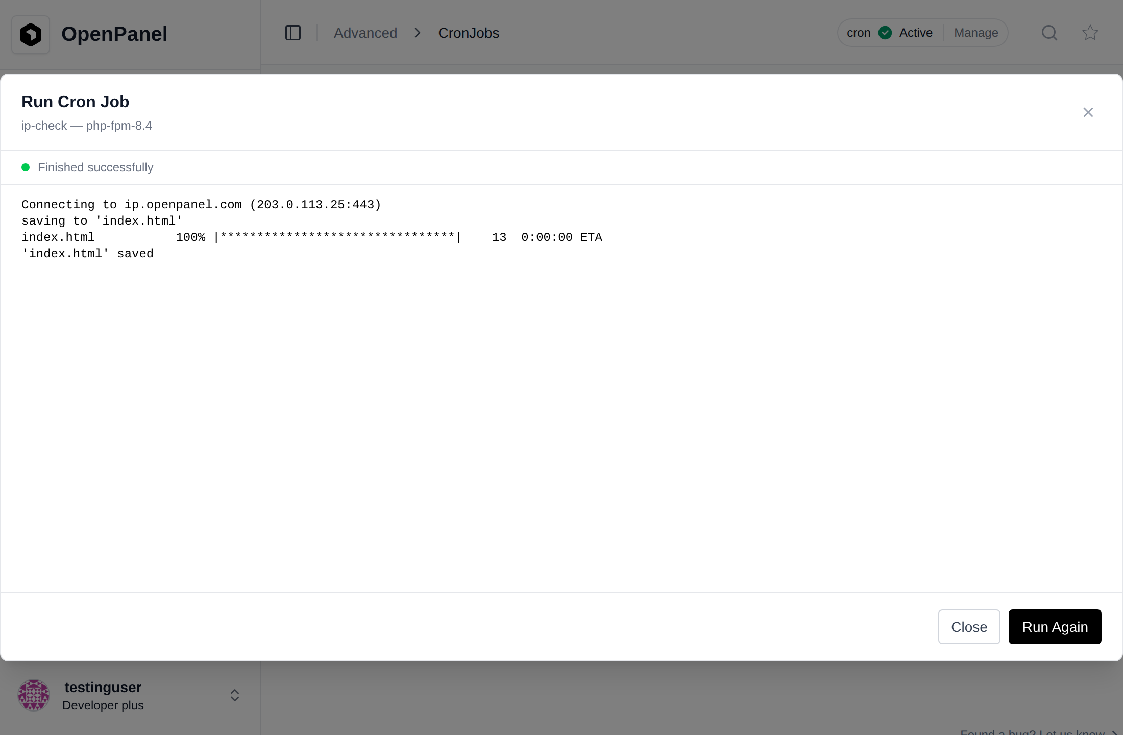 Run now dialog of a cron job showing the command output and Finished successfully