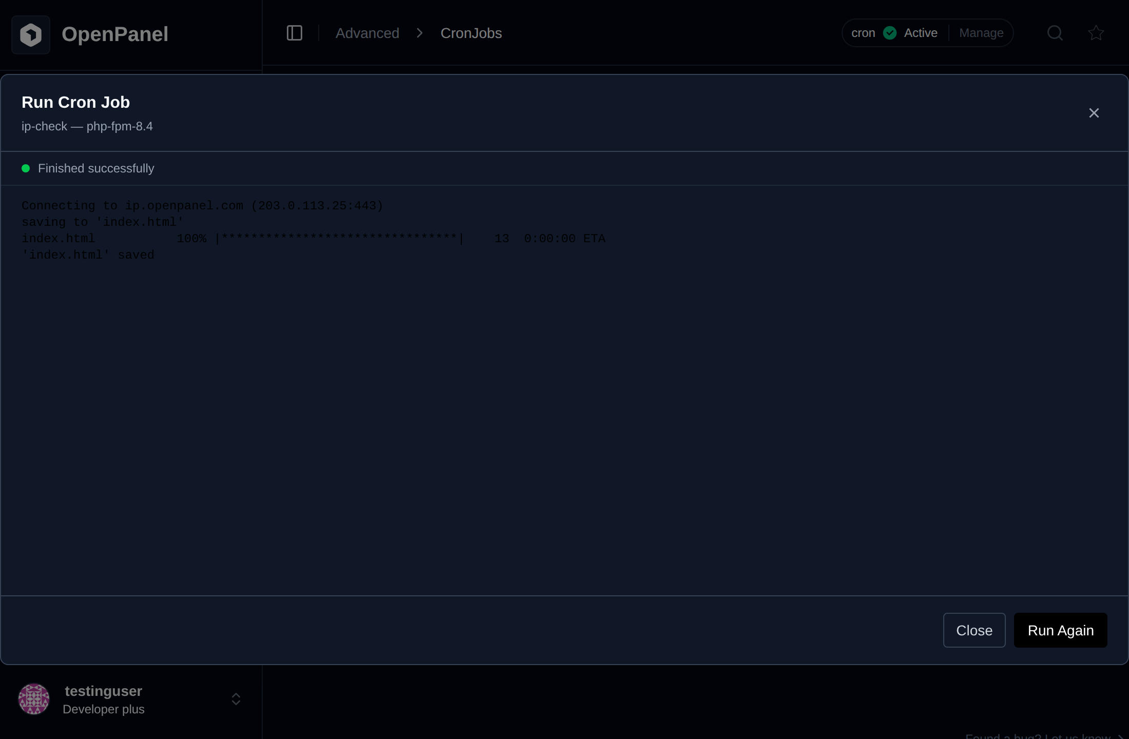 Run now dialog of a cron job showing the command output and Finished successfully