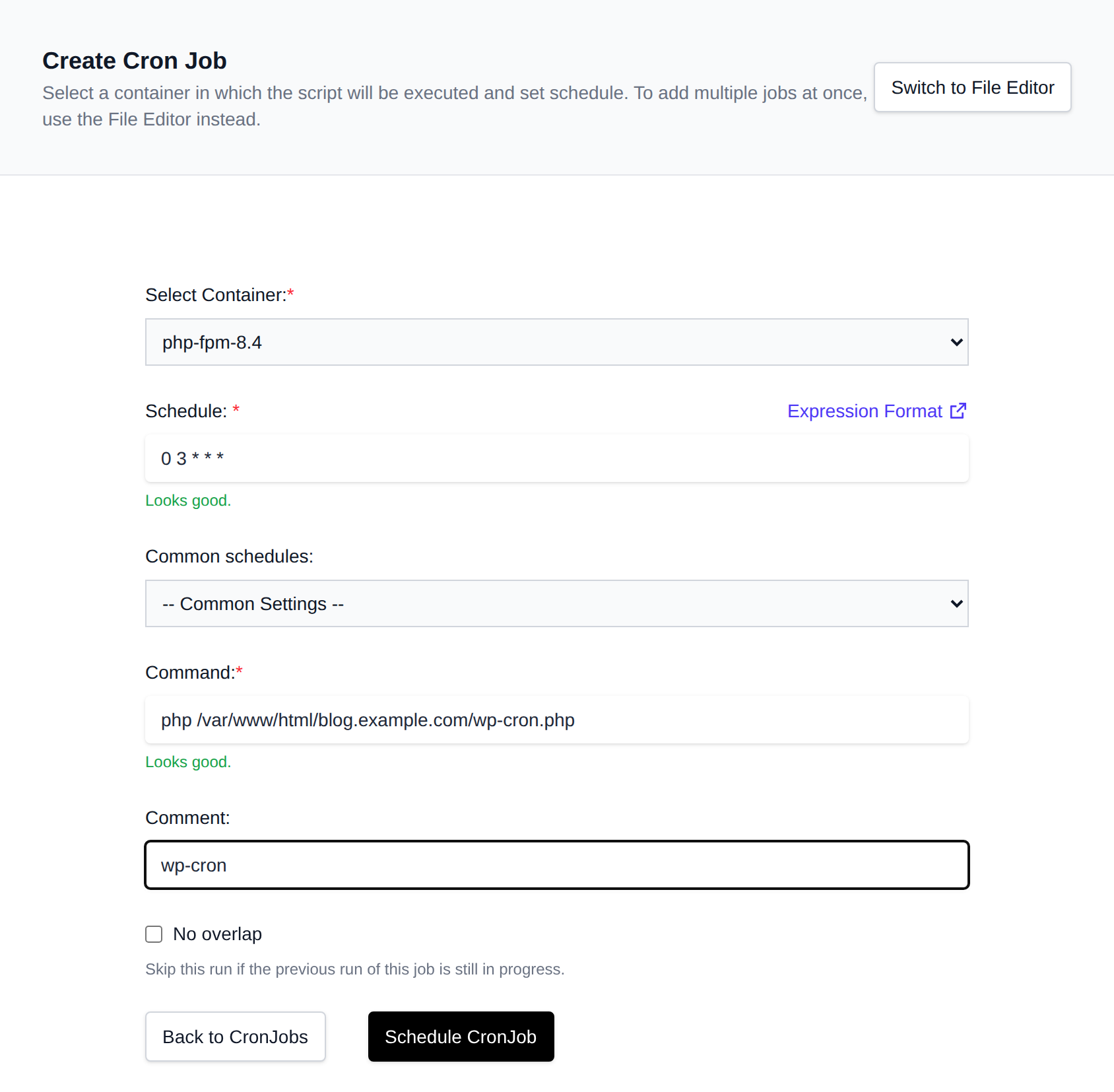 Create Cron Job form with the container, schedule, common schedules, command and comment fields