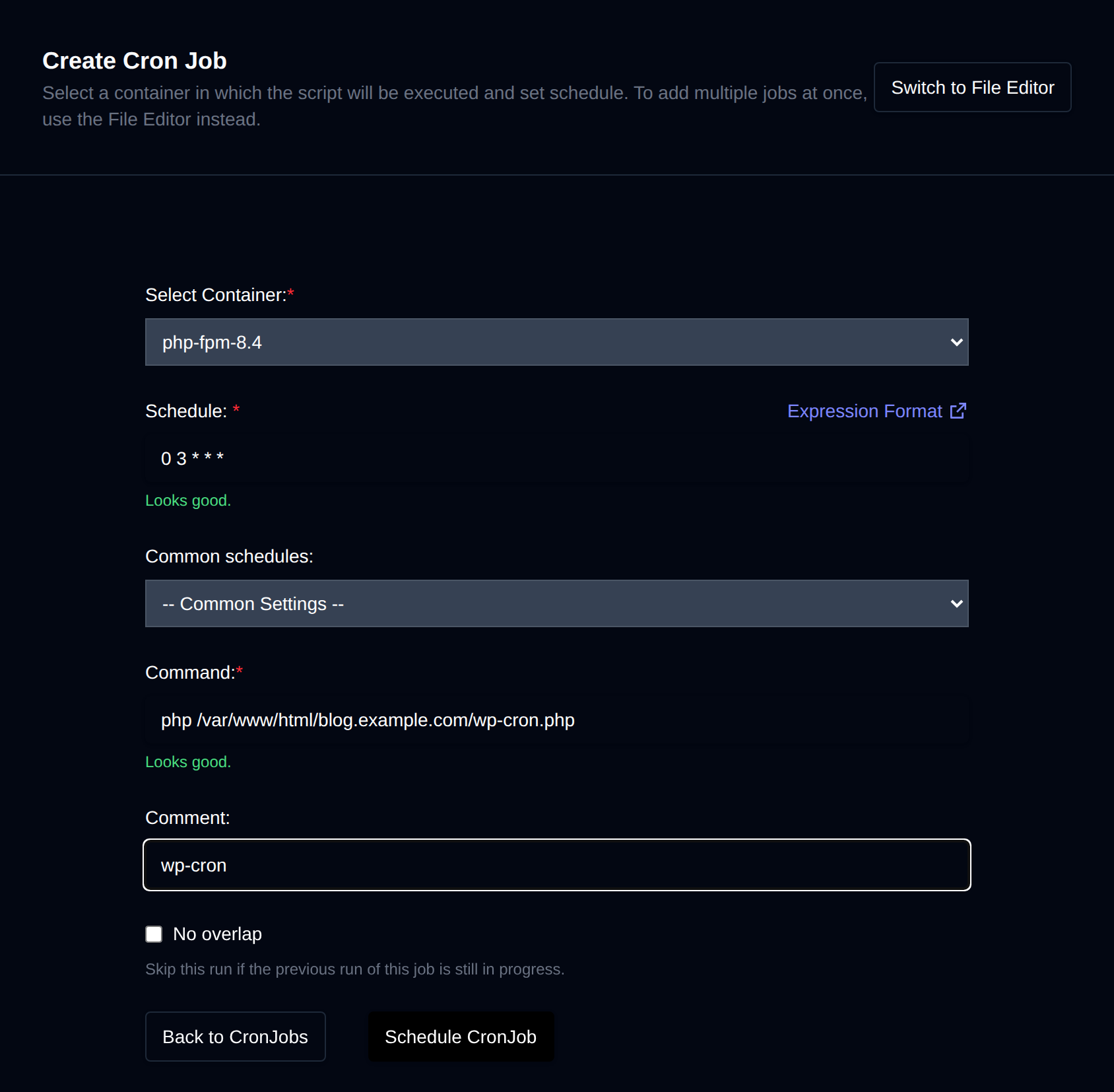 Create Cron Job form with the container, schedule, common schedules, command and comment fields