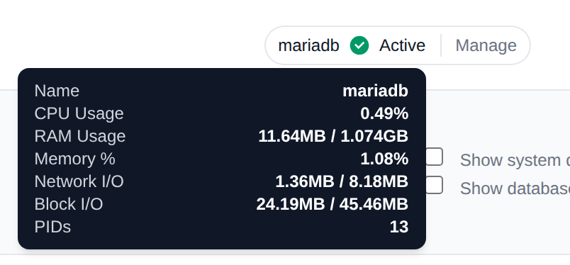 Service badge in the page header with its tooltip showing the container name and resource usage