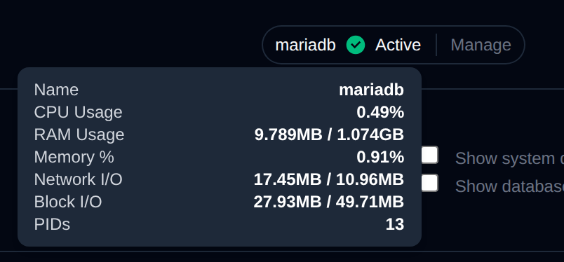 Service badge in the page header with its tooltip showing the container name and resource usage