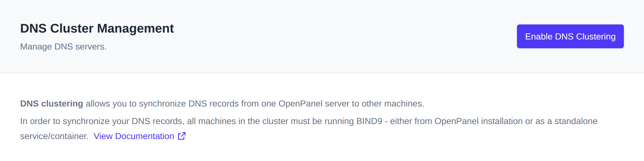 DNS Cluster Management page with the Enable DNS Clustering button