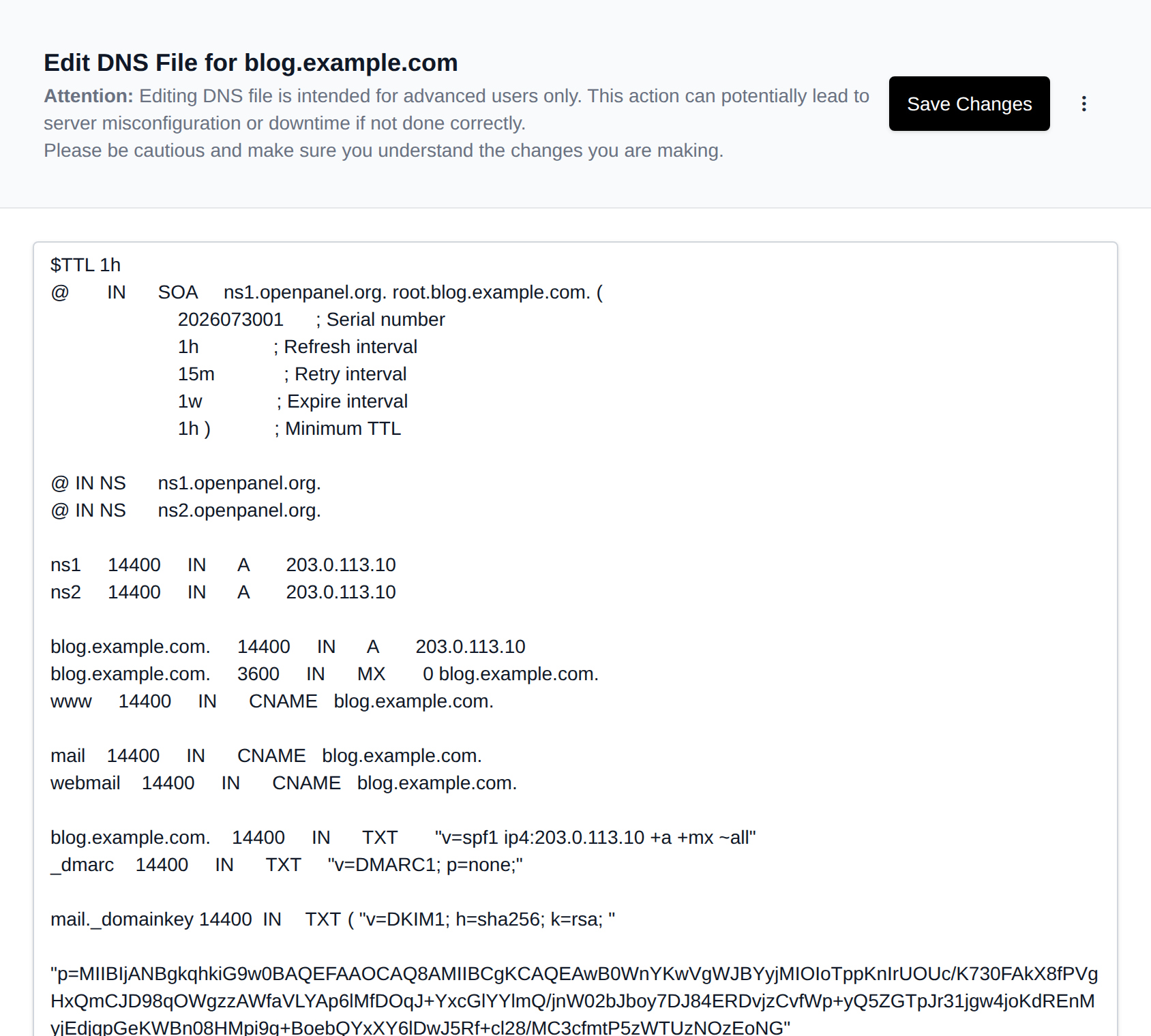 Advanced Editor showing the DNS zone file of the domain for direct editing
