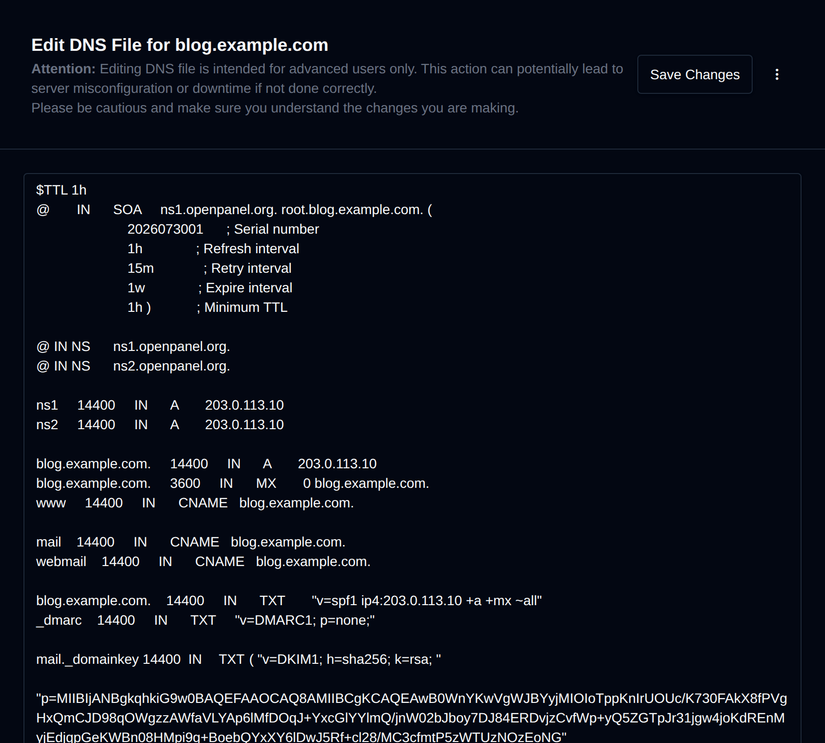 Advanced Editor showing the DNS zone file of the domain for direct editing