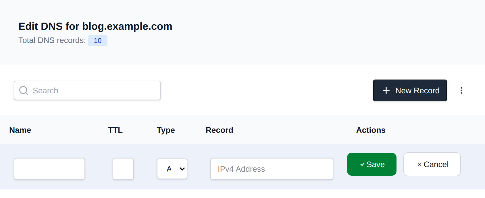 New Record row added at the top of the DNS table with the record type, name, TTL and value fields