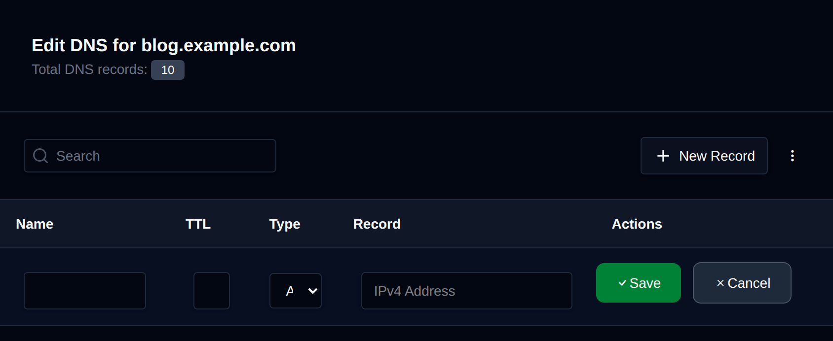 New Record row added at the top of the DNS table with the record type, name, TTL and value fields