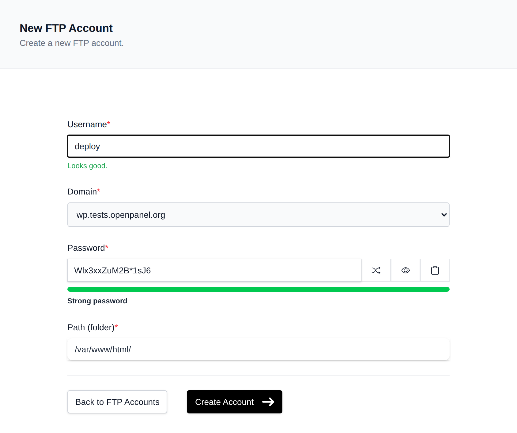New FTP Account form with the username, domain, password and path fields