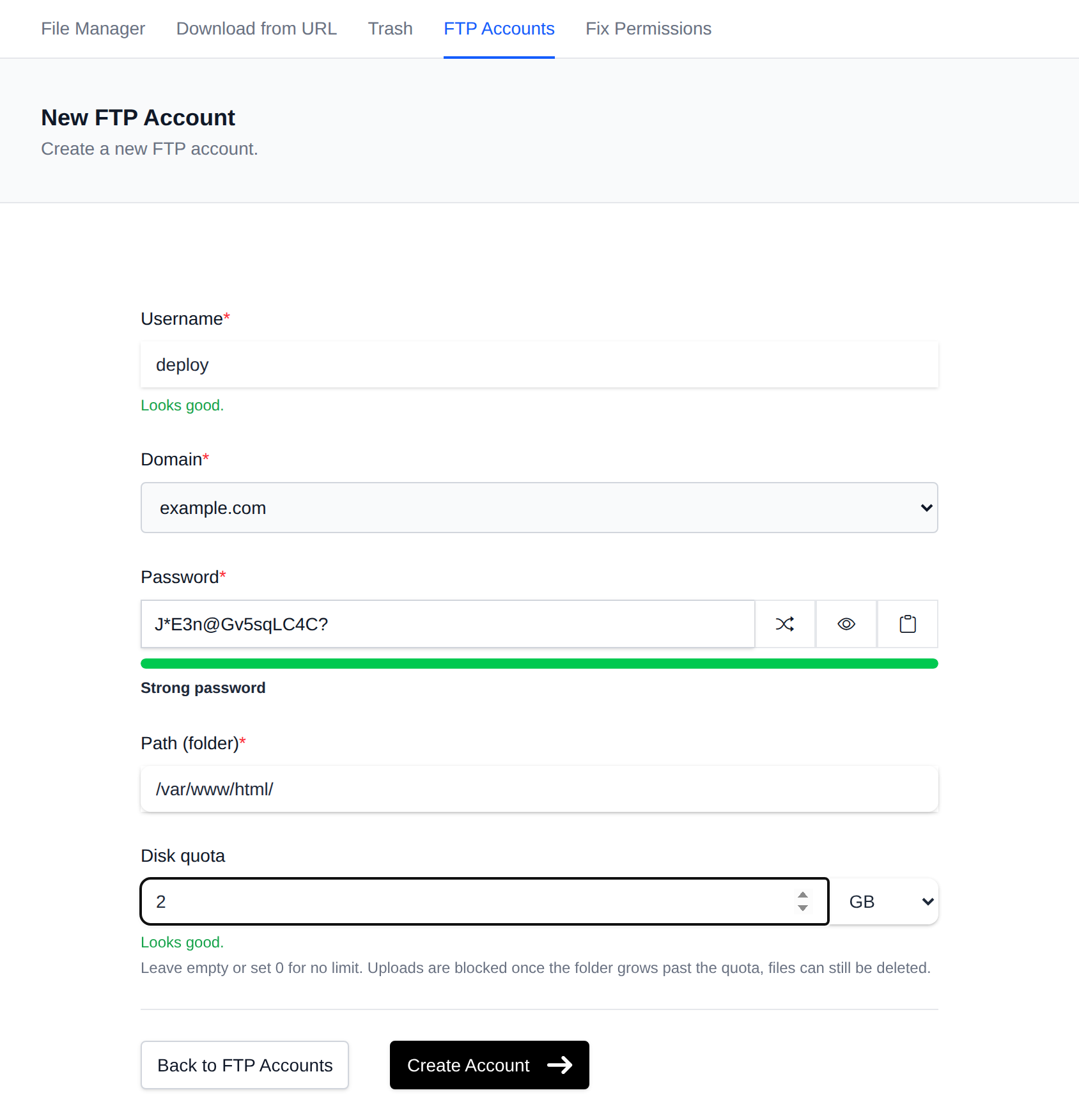 New FTP Account form with the username, domain, password and path fields