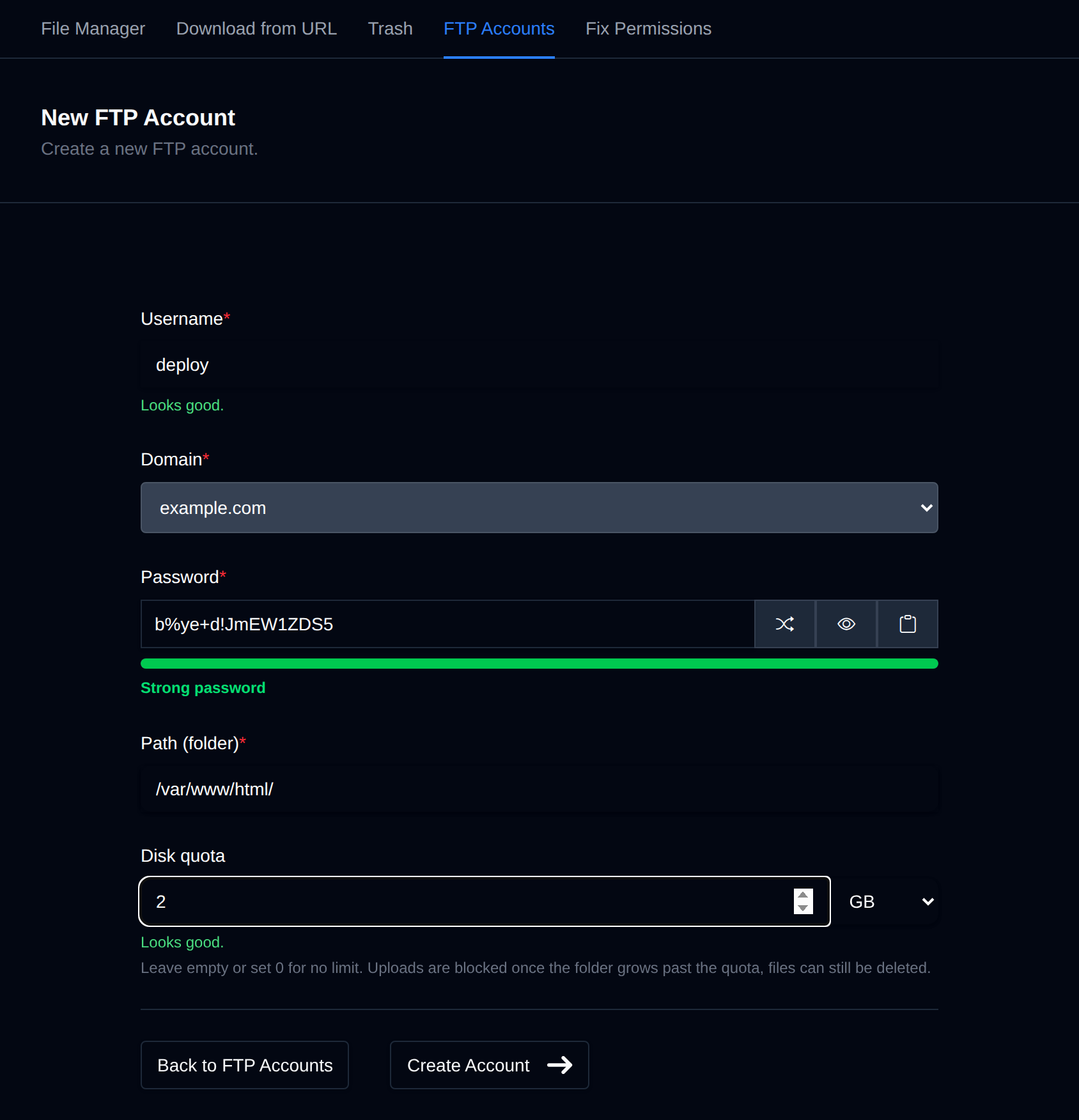 New FTP Account form with the username, domain, password and path fields