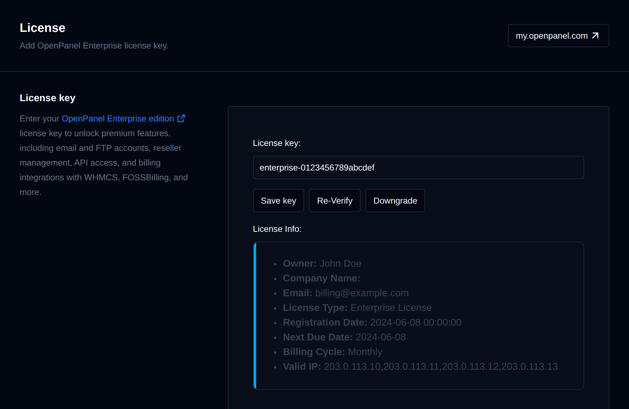 License key section with the key field, the Save key, Re-Verify and Downgrade buttons and the license details