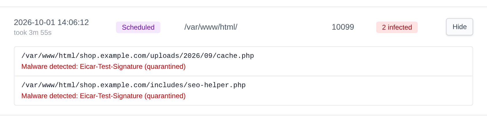Details of a scan listing the infected files and the malware found in each