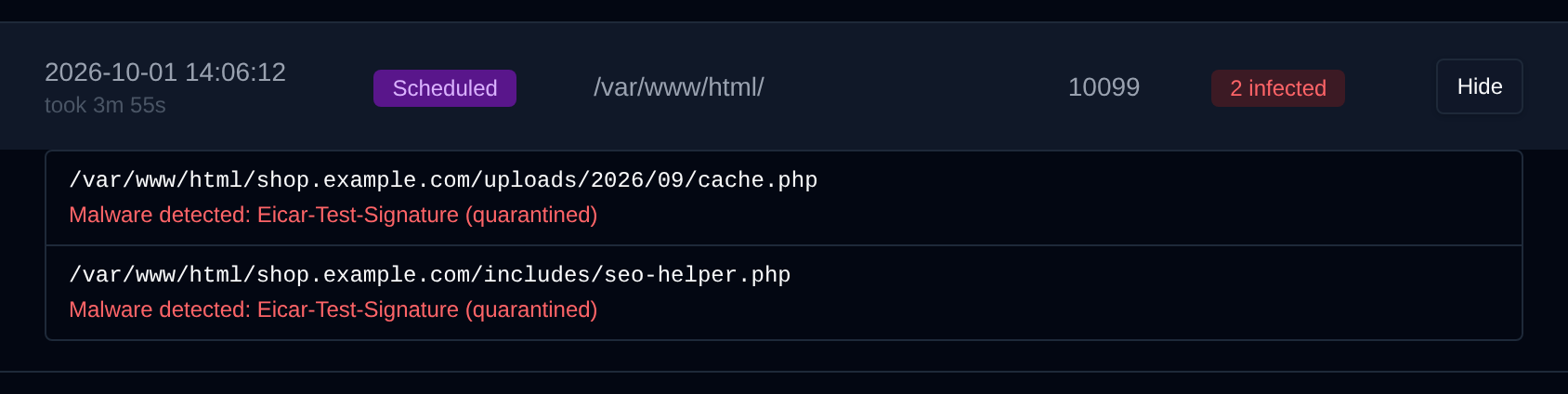 Details of a scan listing the infected files and the malware found in each