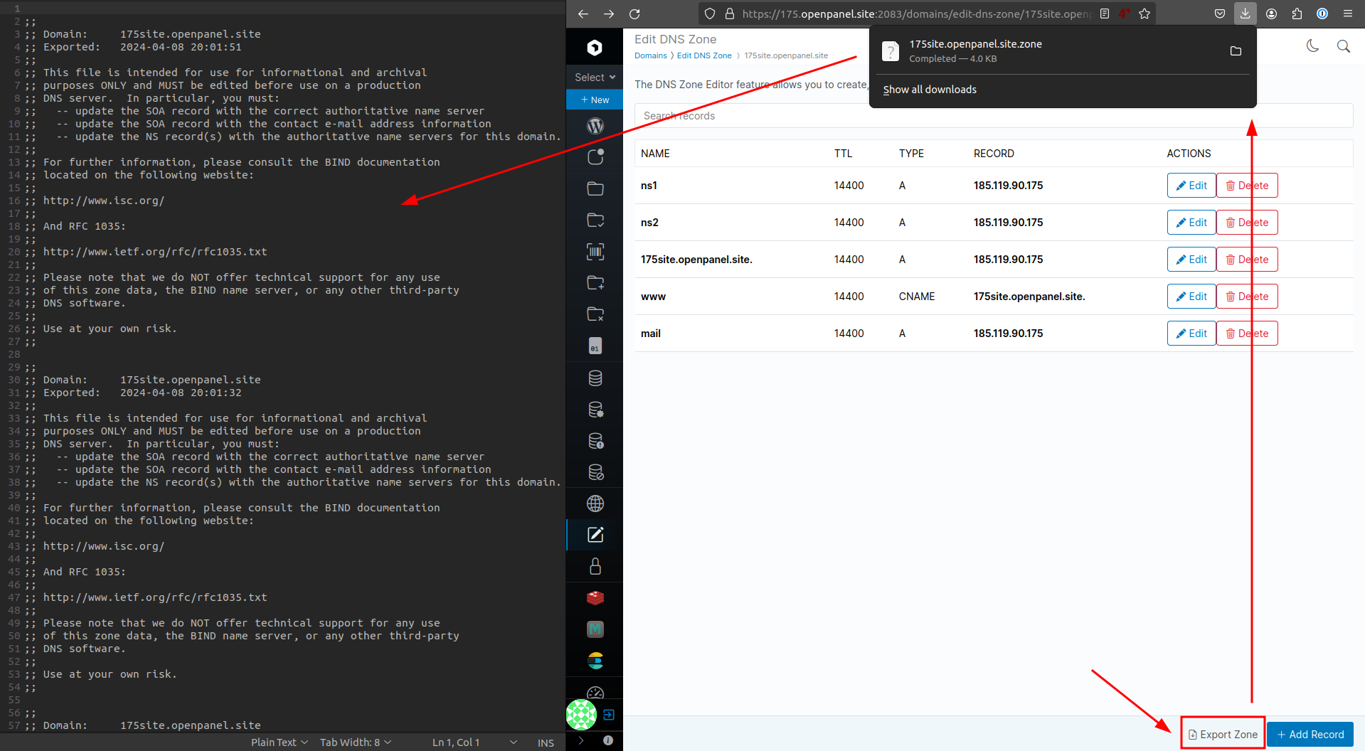 openpanel_export_dns_zone.png