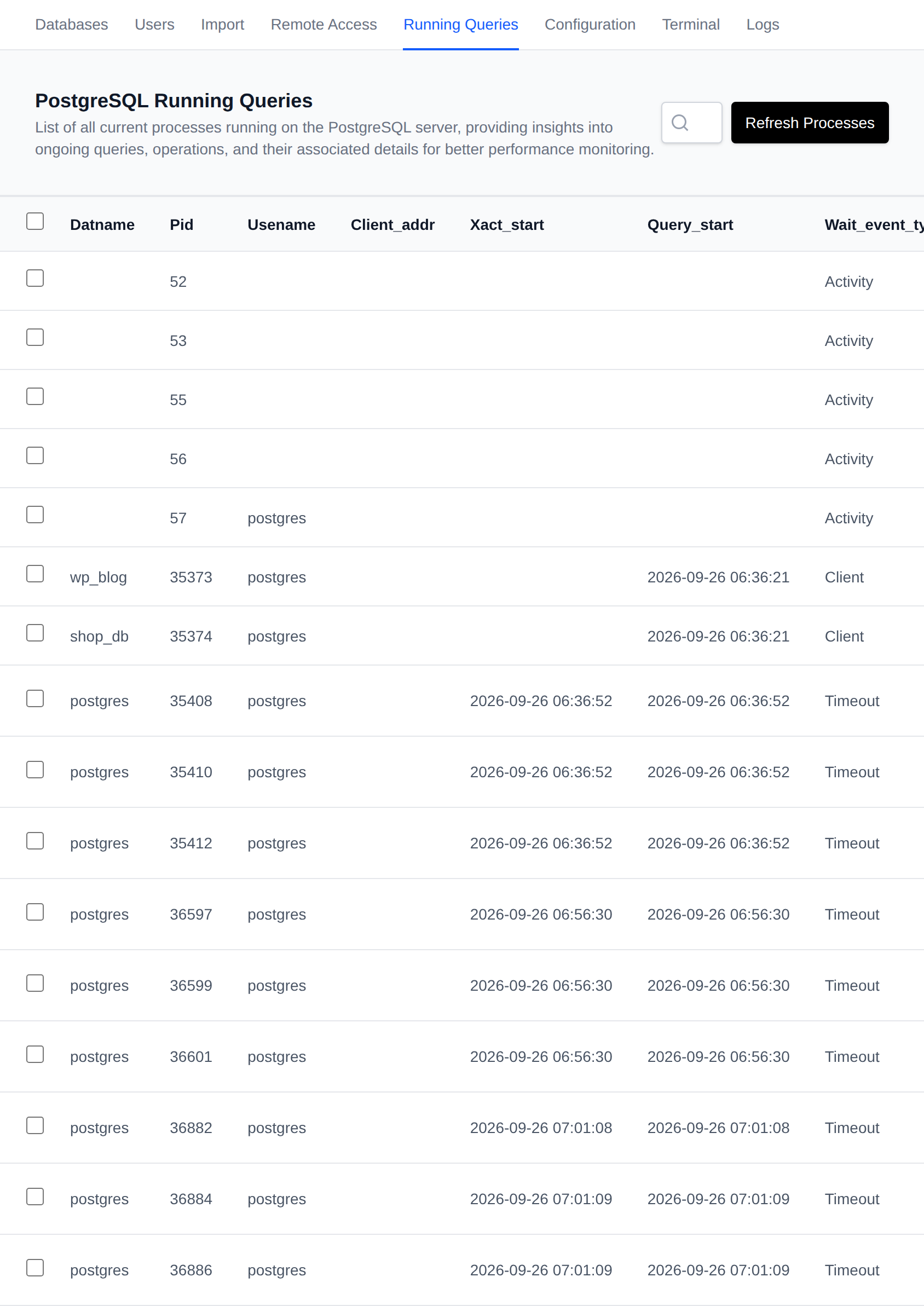 PostgreSQL Processes table listing the active backend processes