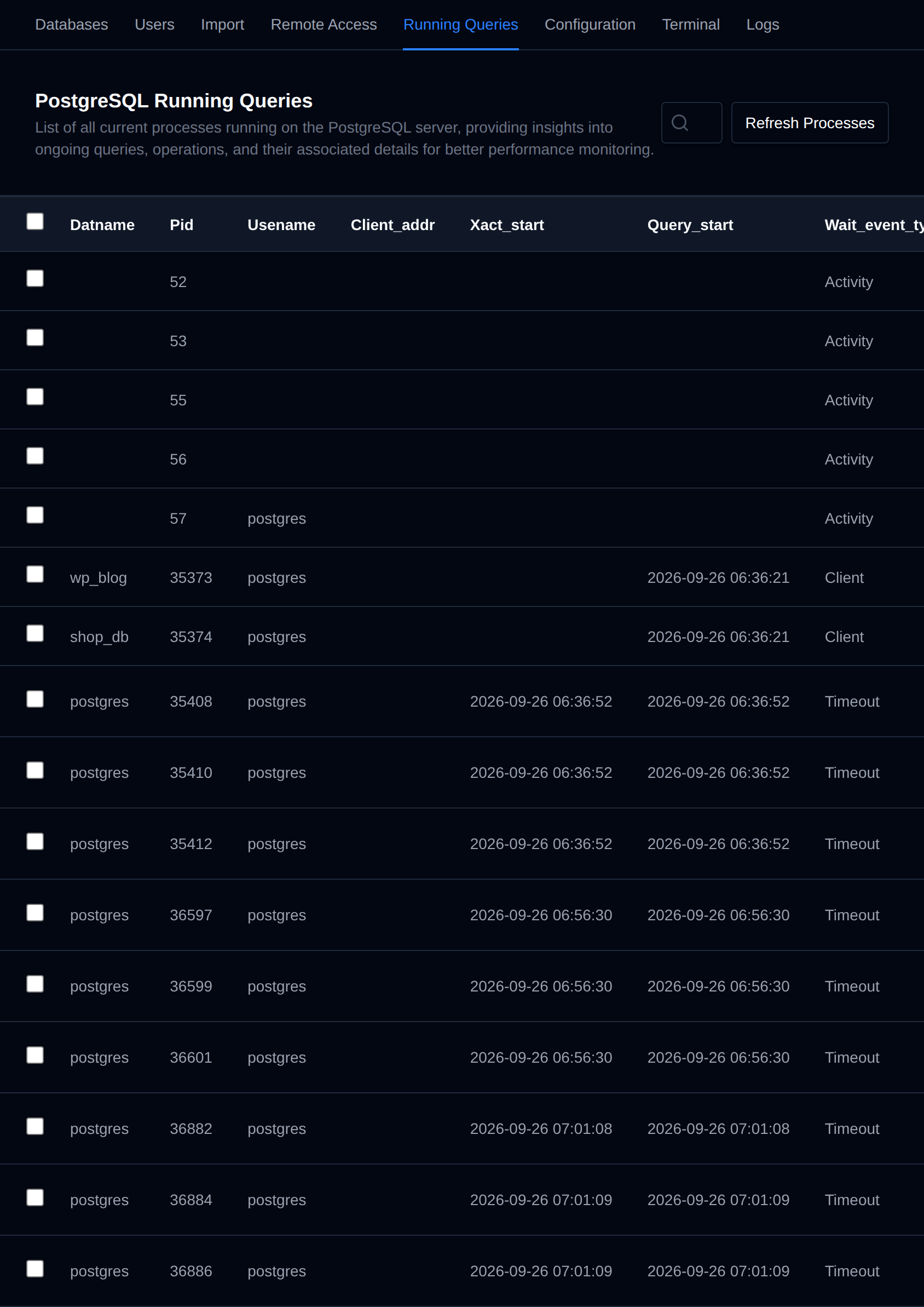 PostgreSQL Processes table listing the active backend processes