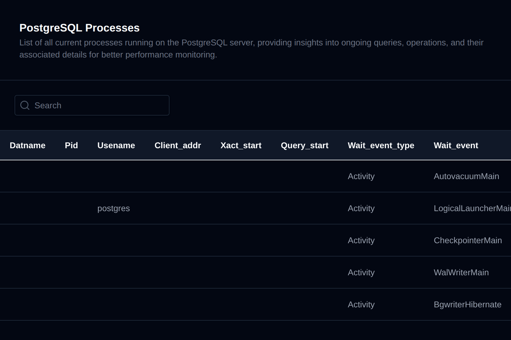 PostgreSQL Processes table listing the active backend processes