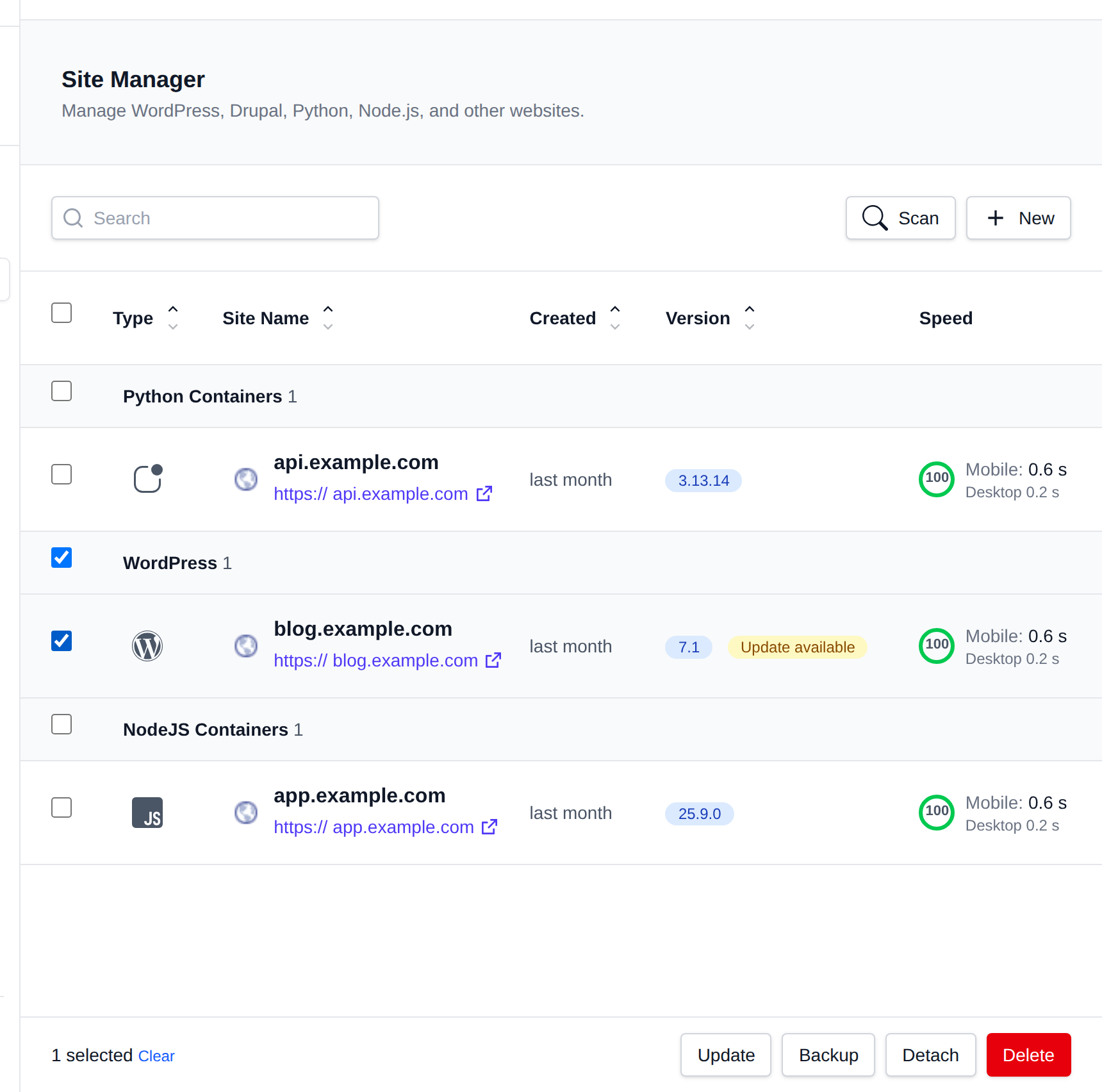 Site Manager with one site selected and the bulk action bar with Update, Backup, Detach and Delete buttons