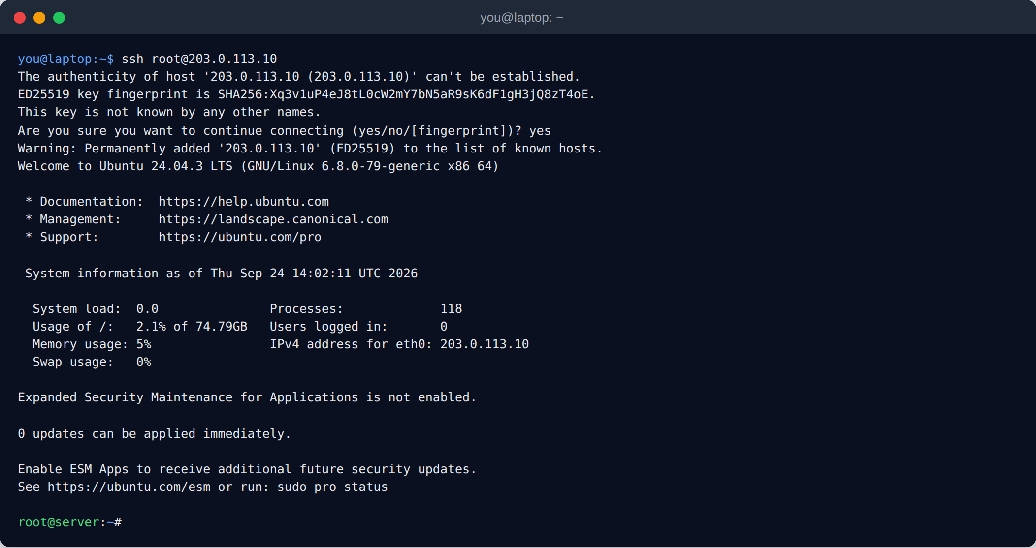 Terminal showing the first SSH connection as root: confirming the server's host key fingerprint, the Ubuntu 24.04 welcome message, and the root prompt