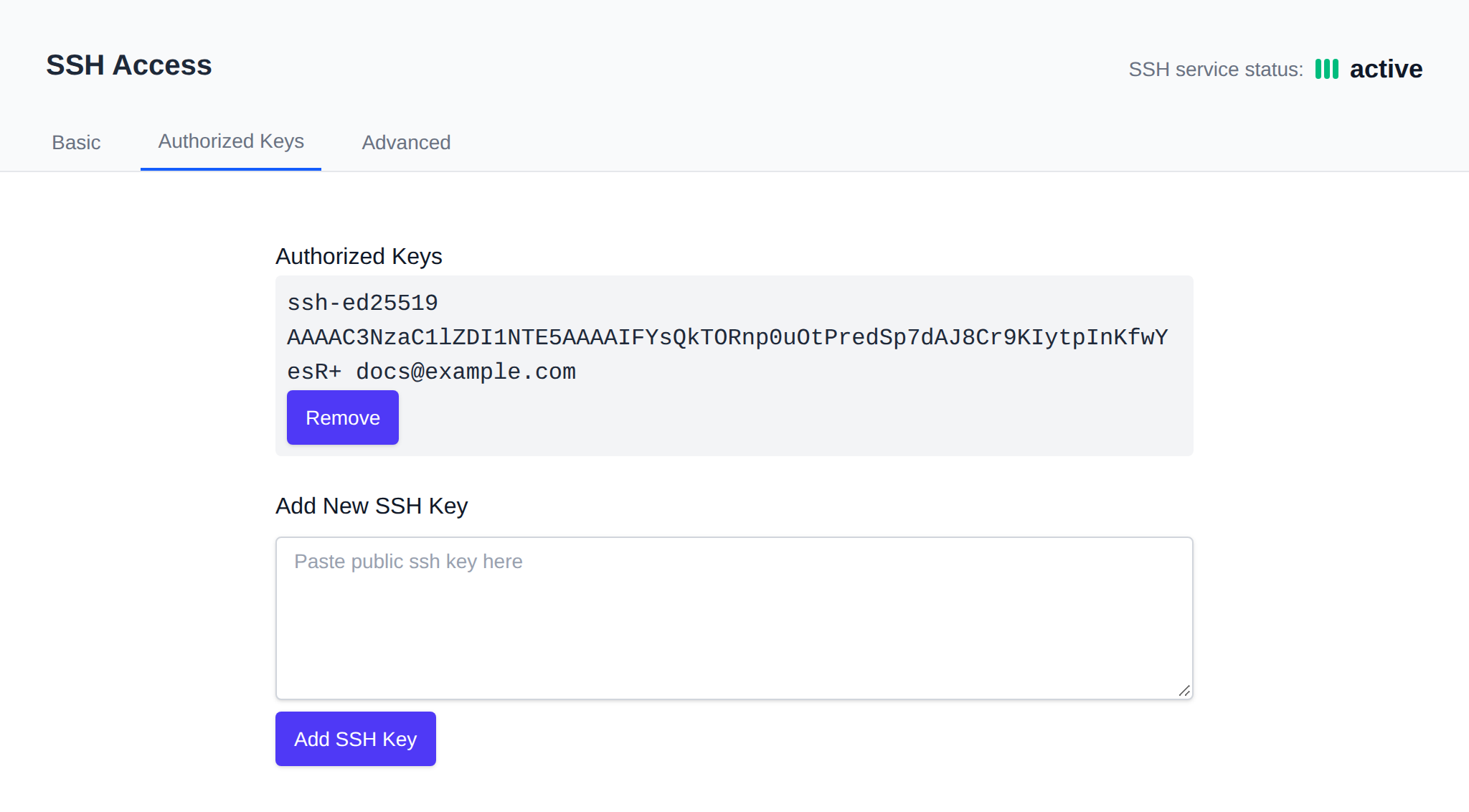 SSH Access Authorized Keys tab listing an authorized public key with its Remove button and the field to add a new key