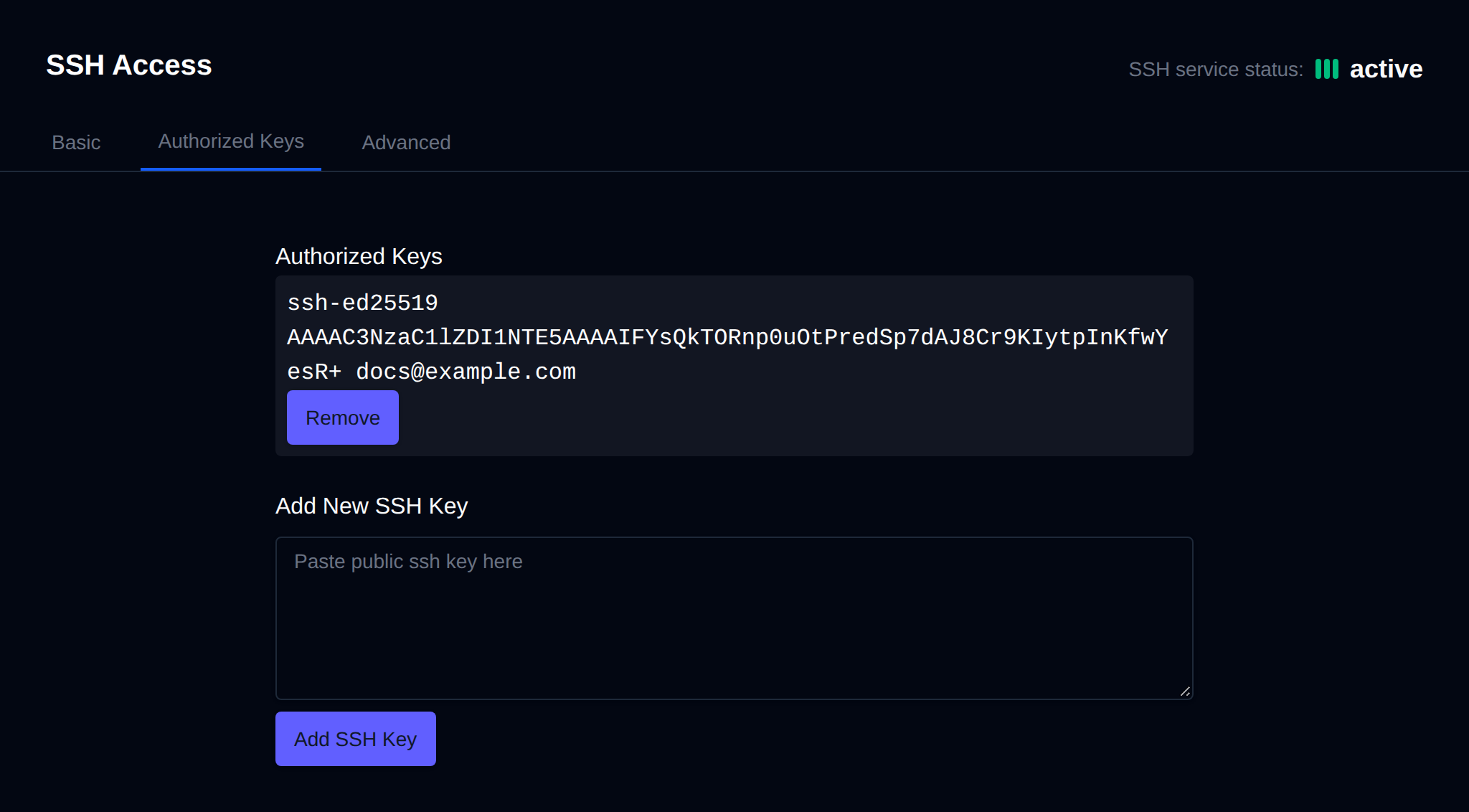 SSH Access Authorized Keys tab listing an authorized public key with its Remove button and the field to add a new key