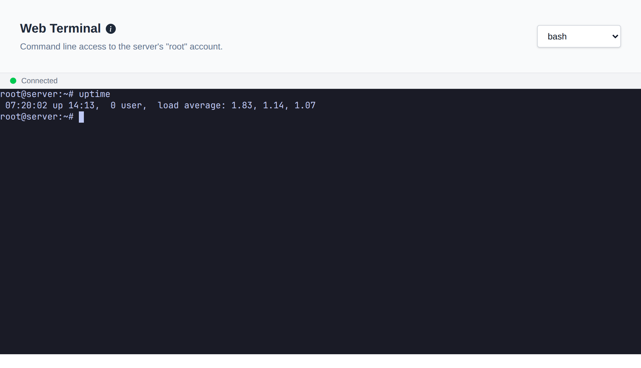 Web Terminal with a root shell on the server and the shell dropdown