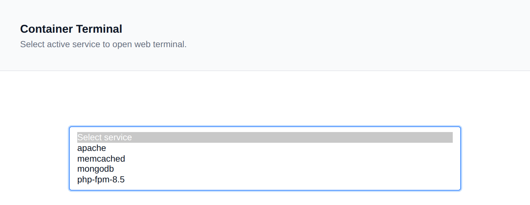 Terminal page with the service dropdown opened, listing the running containers to connect to