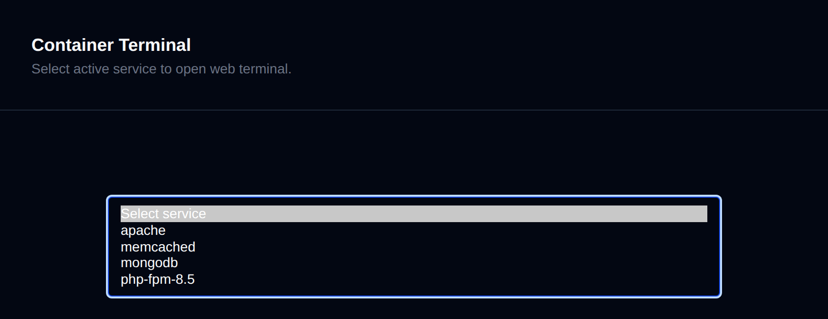 Terminal page with the service dropdown opened, listing the running containers to connect to