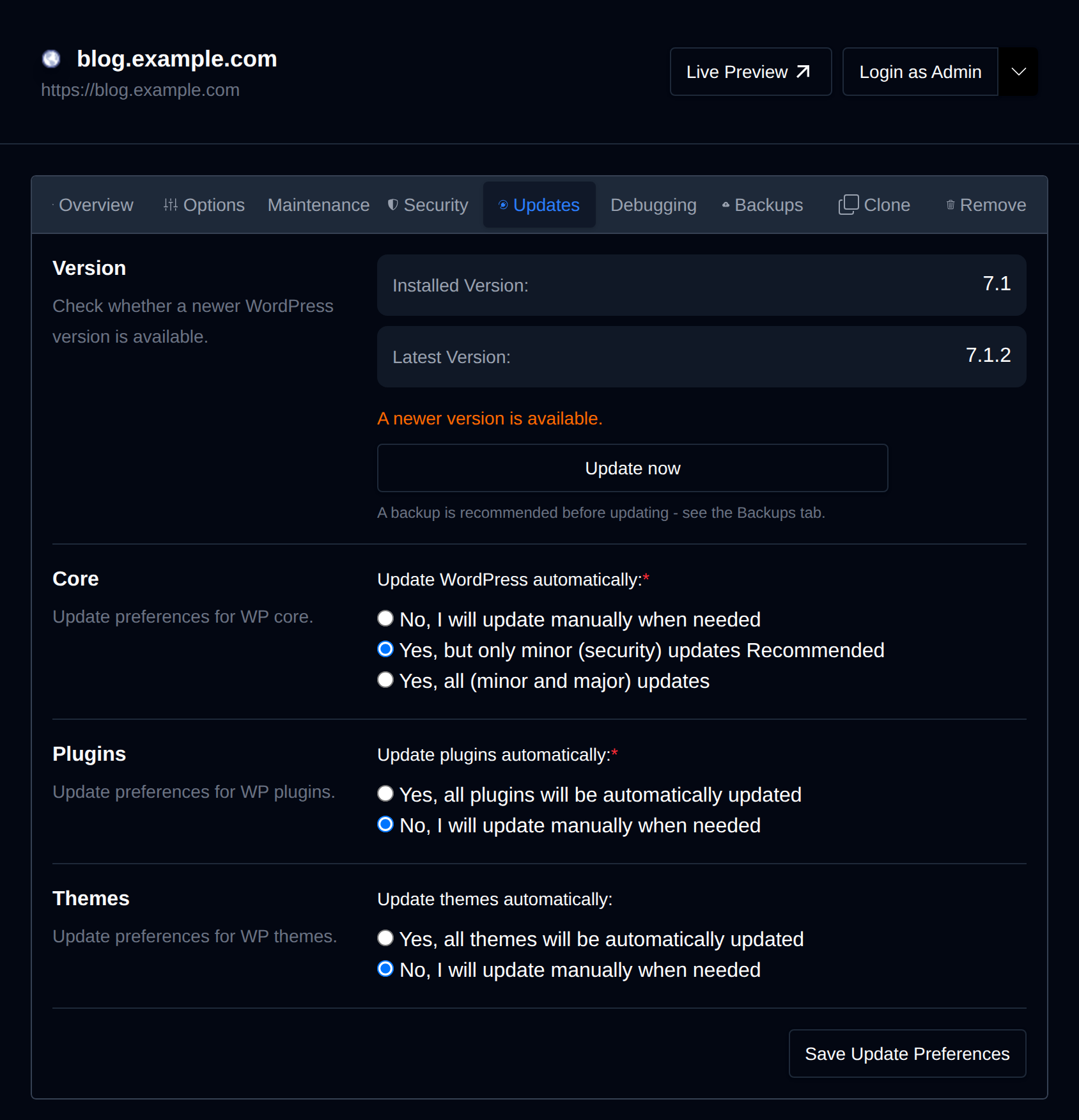 Updates tab listing core, plugin and theme update status
