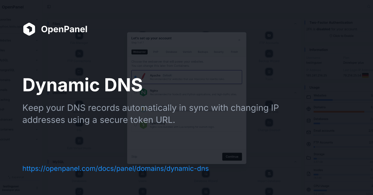 Dynamic DNS | OpenPanel